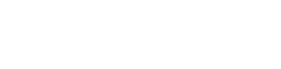 Web2wave logo